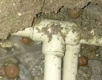 丰顺测漏水多少钱