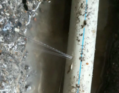 丰顺测漏水哪家好